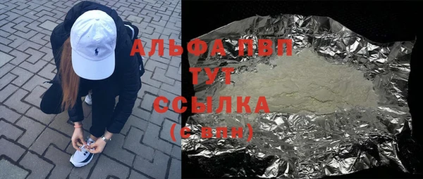 стафф Иннополис