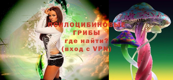 стафф Иннополис