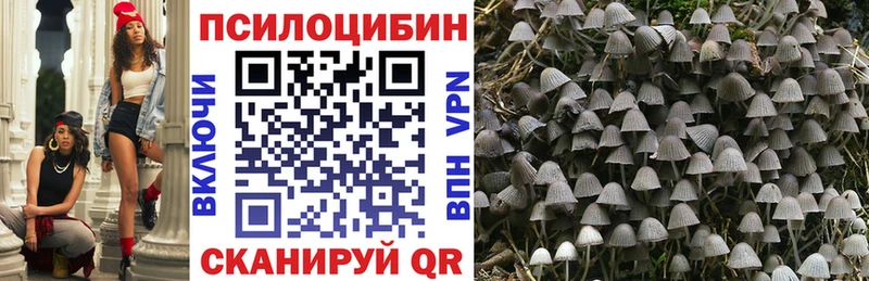 Галлюциногенные грибы MAGIC MUSHROOMS Болхов